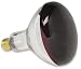 250 Watt Heat Lamp / Red Weatherproof Heat Lamp / R40 Shape (5
