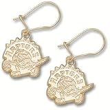 Toronto Raptors 14K Gold Dangle Earrings