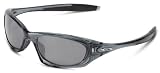 Oakley Men’s Twenty Oval Sunglasses Picture