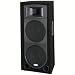 Samson RS215 Speaker 2-Way 15-In. Driver 350W-4937 Impedence Dual -In. 44MM - Black