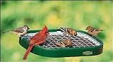 Bird Feeder, Duncraft Squirrel Proof Platform