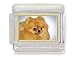 pomeranian4 - POMERANIAN Dog Italian Charm
