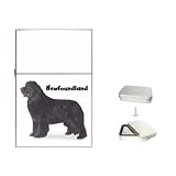 Newfoundland Flip Top Lighter