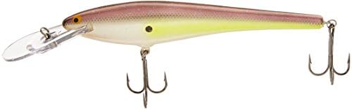 Bagley Bang-O-B Genuine Balsa Wood Fishing Bait, Sexy Shad, 8-Inch