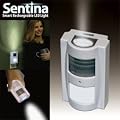 Datexx Sentina Smart Rechargeable LED Light