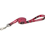 Arizona Cardinals NFL Dog Leash