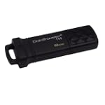 Kingston DT111/8GB - Memoria USB de 8 GB