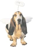 Lil' Angel Costume (Size Medium)