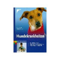 Hundekrankheiten: Gesundheitsvorsorge. Symptome, Diagnose, Behandlung. Krankenpflege und Erste Hilfe