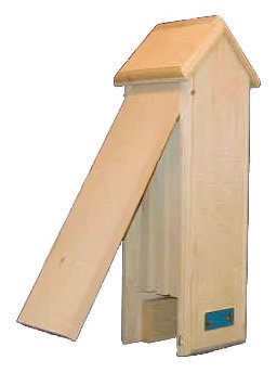 Bat Tower