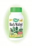 Black Walnut Hulls 100 Caps ( Juglans nigra ) By Nature's Way