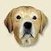 Labrador Retriever Dog Magnet - Yellow