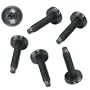 Middle Atlantic Trim-Head Hardware HW100 - Screw kit - black (pack of 100 )