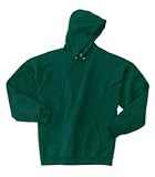 Hanes 10 Oz Hooded Sweatshirt F170