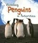 Watching Penguins in Antarctica (Wild World (Heinemann Paperback))