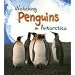 Watching Penguins in Antarctica (Wild World (Heinemann Paperback))
