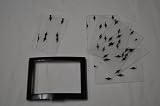 Miller 770156 Lens Kit,Front/Inside Cov Blk
