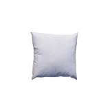 14'' x 14'' Feather/Down Pillow Form White By The Each