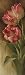 Spring's Parrot Tulip II Beautiful MUSEUM WRAP CANVAS Print with Added BRUSHSTROKES Igor Levashov 12x36