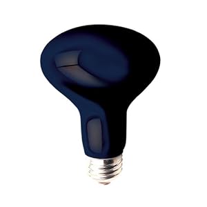 Bulbrite 75R25BL 75W Black Light Reflector Bulb by Bulbrite
