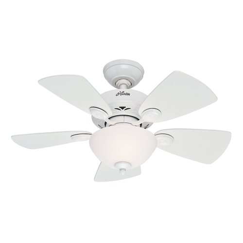 Hunter Fan Company 52089 Watson 34-Inch Snow White Ceiling Fan with Five Snow White/Bleached Oak Blades and a Light Kit