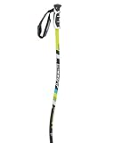 Scott USA World Cup GS Trekking Pole