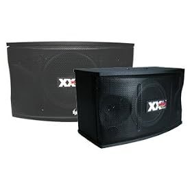 Karaoke speaker 10" 120Wrms, Pair