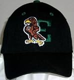 Eastern Michigan Eagles Black Wool One-Fit Cap (Medium)