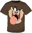 Bioworld Youth Looney Tunes Taz T-shirt