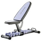 Exercise Bench with Free Weights