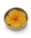Grehom Tea Lights Frangipani (Set of 10)