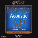 Martin MSP3200 }[` AR[XeBbNM^[