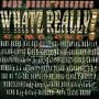 Baby Beesh Presents What's Really! Game One