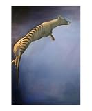 "Back Layout with Twist" by the Thylacine, from the Post Extinction series. Animals Giclee Poster Print by Bethany Jean Fancher, 16x20