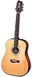 DM10 E4 (Fishman Pickup)