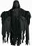 Harry Potter Dementor Costume