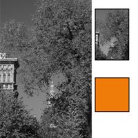 Kodak WRATTEN No. 16 - Filter - yellow-orange
