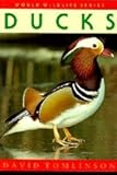 Ducks