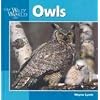 Owls (Our Wild World)