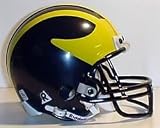 Michigan Riddell Mini Helmet