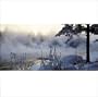 Wintersongs: Winter Holiday in Sweden