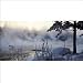 Wintersongs: Winter Holiday in Sweden