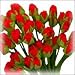 Small Red Roses 25 per pack