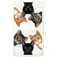 Peeping Toms Cat Cats Kitten Set of 2 Dish Kitchen Towels New Gift