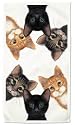 Peeping Toms Cats Kitten Set/2 Dish Kitchen Towels