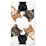 Peeping Toms Cat Cats Kitten Set of 2 Dish Kitchen Towels New Gift