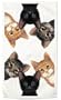 Peeping Toms Cat Cats Kitten Set of Two Dish Towels