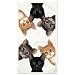 Peeping Toms Cat Cats Kitten Set of Two Dish Towels