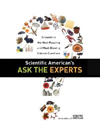 Ask an Expert