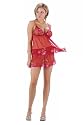 2 PC. Sheer camisole with vivid rose embroidery and matching shorts.